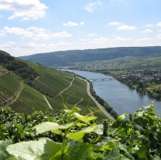The Moselle on River Cruises Europe